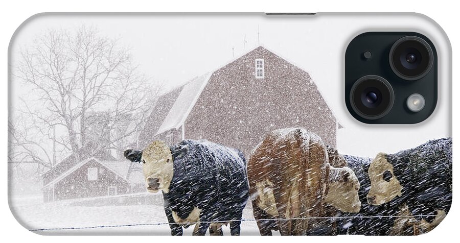 Farm iPhone Case featuring the photograph Cattle Herd by the Barn during a Snowstorm by Randall Nyhof