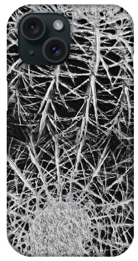 Black And White Photo Of Catus. iPhone Case featuring the photograph Catus by Joan Reese