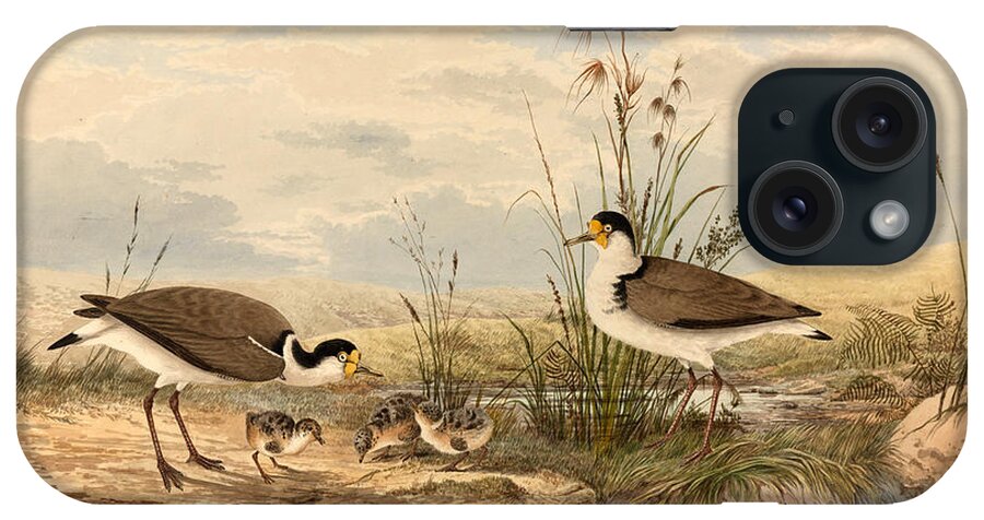 Neville Henry Penniston iPhone Case featuring the drawing Cayley Masked Lapwing. Vanellus miles by Neville Henry Penniston