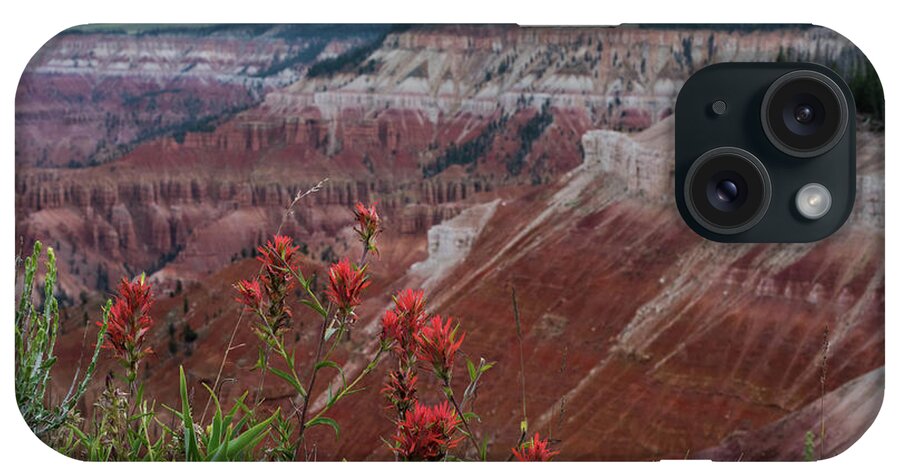 Canyon iPhone Case featuring the photograph Cedar Breaks National Monument by Jody Partin
