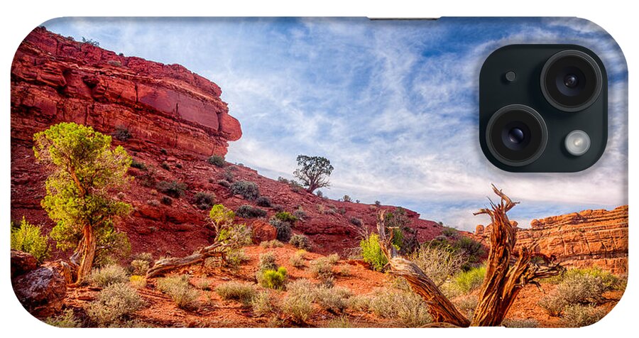 Cave iPhone Case featuring the photograph Cedars and Sandstone by Rikk Flohr