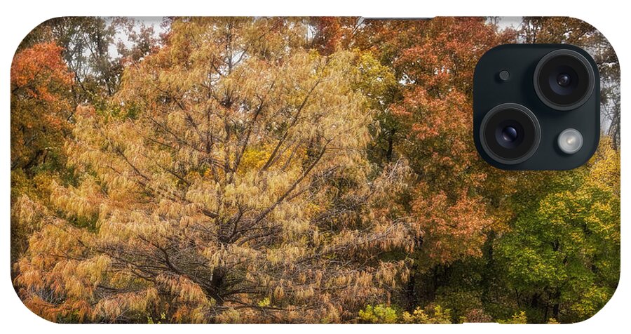 Trees. Autumn Scene iPhone Case featuring the photograph Center of Attention by Joan Bertucci