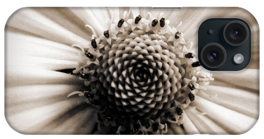 Daisy iPhone Case featuring the photograph Centered by Jessica Brawley