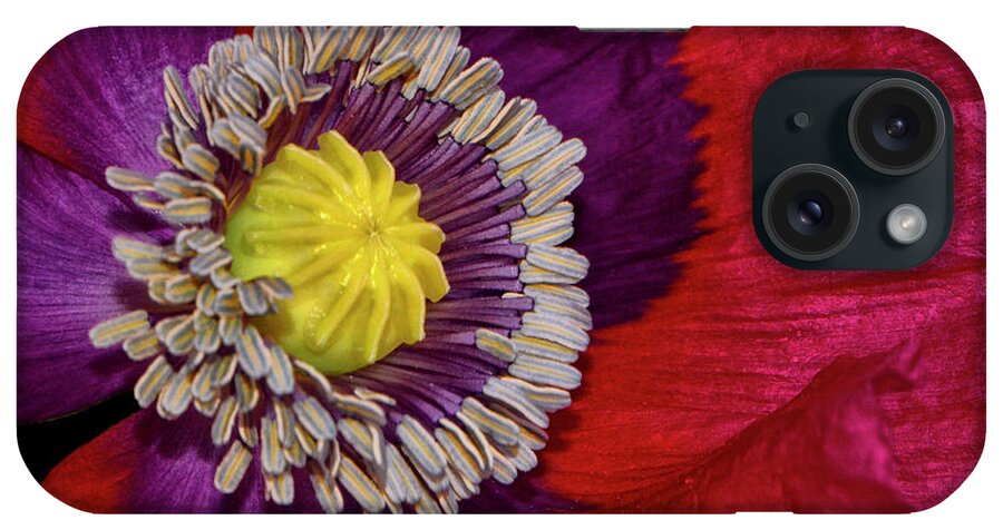 Macro iPhone Case featuring the photograph Centerpiece - Poppy 041 by George Bostian