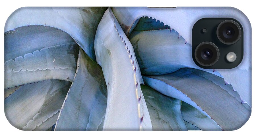 Agave iPhone Case featuring the photograph Centre d'un Agave by Stan Magnan