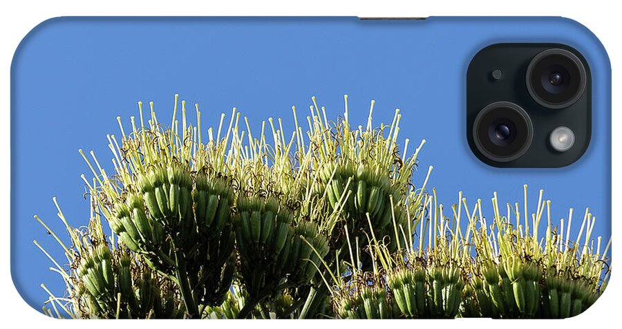 Cayce iPhone Case featuring the photograph Century Plant Blossom by Charles Hite