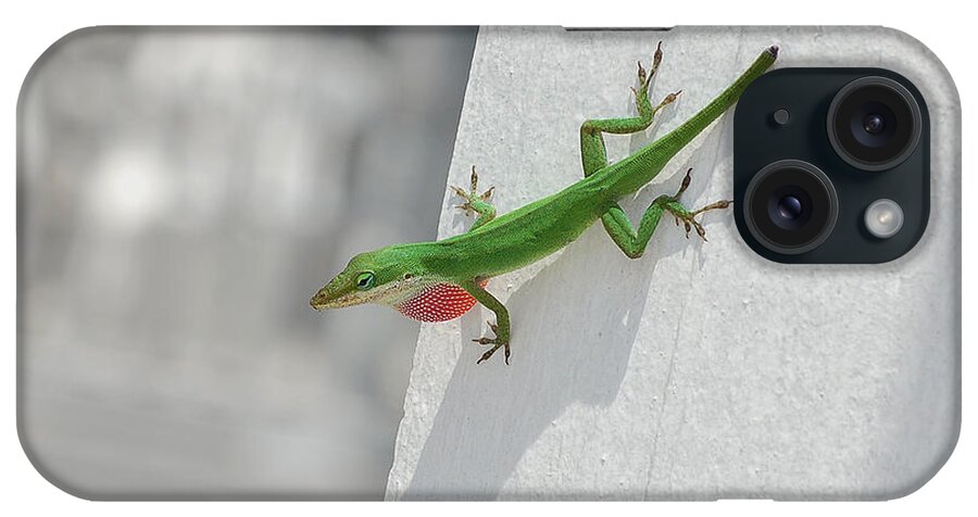 Chameleon iPhone Case featuring the photograph Chameleon by Robert Meanor