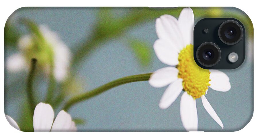 Chamomile iPhone Case featuring the photograph Chamomile Dream 3- Art by Linda Woods by Linda Woods
