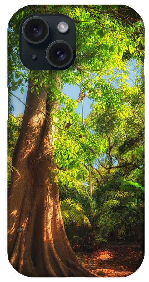 Davie iPhone Case featuring the photograph Champion Tree by Sylvia J Zarco