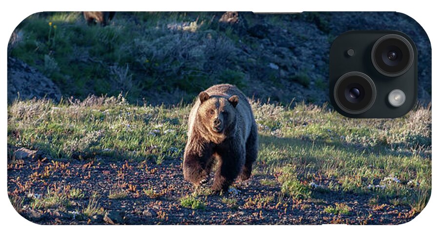 Grizzly Bear iPhone Case featuring the photograph Charging Grizzly by Mark Miller
