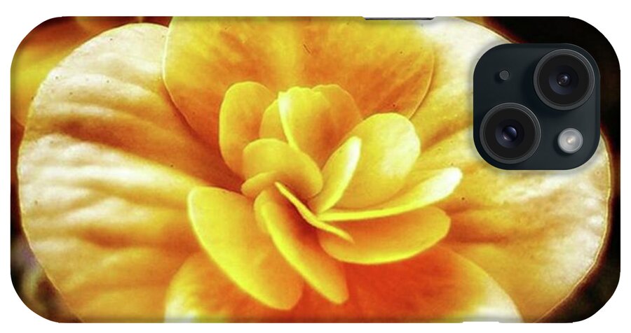 Flowergram iPhone Case featuring the photograph Charlie's Begonias. He Grows Them On by Mr Photojimsf