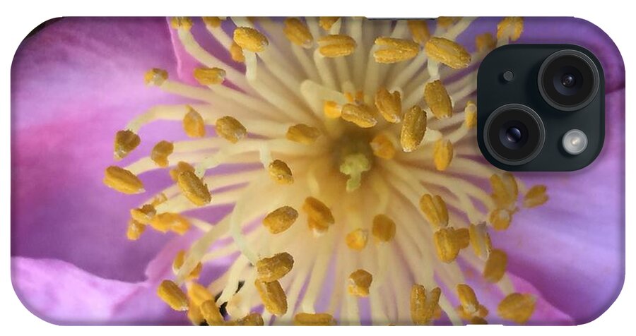 Flowers iPhone Case featuring the photograph Charmed by Nona Kumah