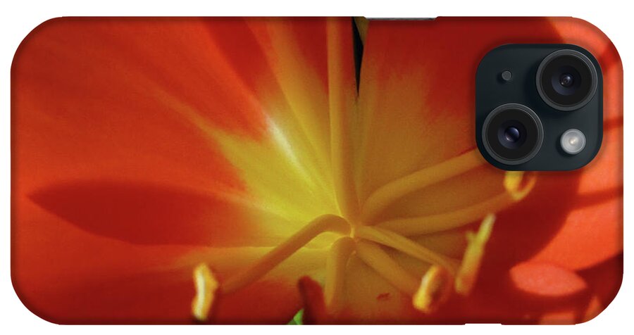 Clivia iPhone Case featuring the photograph Charming Clivia 2 by Kim Tran