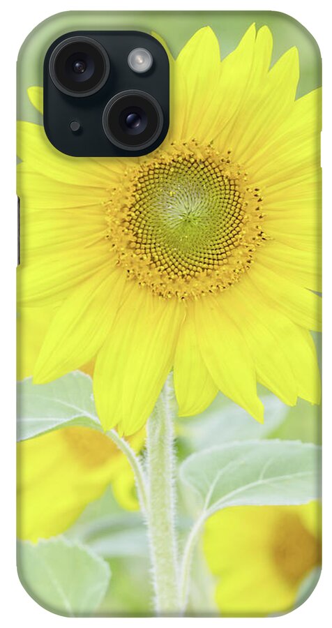 Sunflower iPhone Case featuring the photograph Chasing the Sun by Richard Macquade