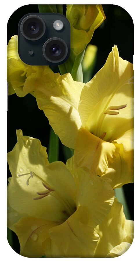 Gladiolus iPhone Case featuring the photograph Cheerful Gladiolus by Tammy Pool