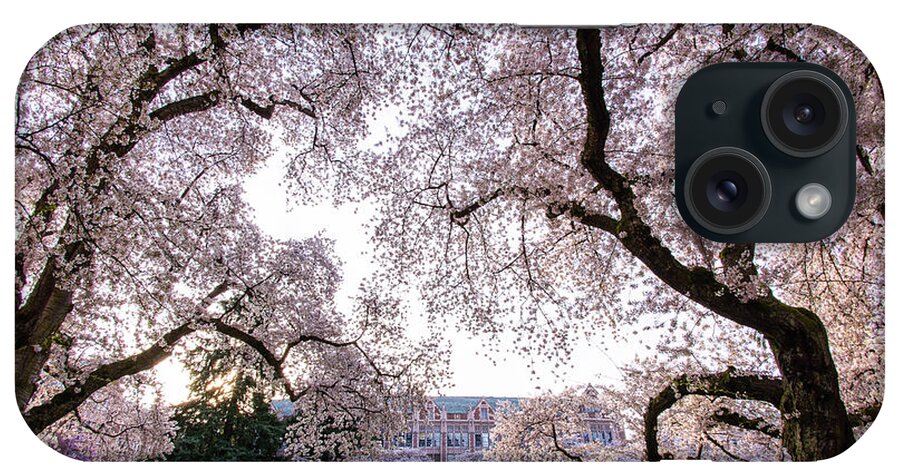 Flower iPhone Case featuring the photograph Cheery blossom - University Washington by Hisao Mogi