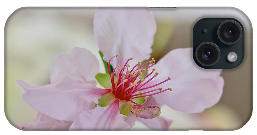 Cherry iPhone 15 Case featuring the photograph Cherry Blossom I by Elena Perelman