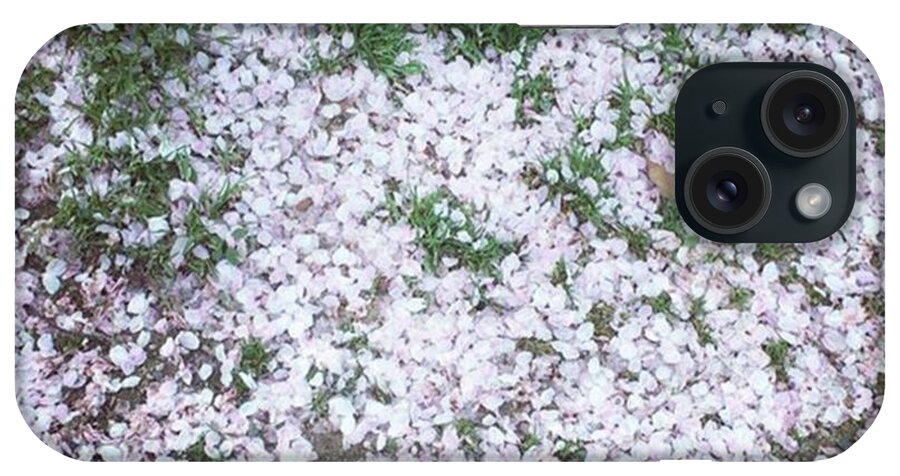 Hayfever iPhone Case featuring the photograph Cherry Blossom Petals by Kenya Multipotentialite