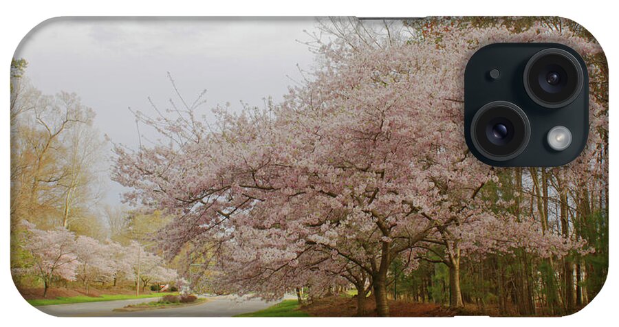Cherry Blossoms iPhone Case featuring the photograph Cherry Trees on Canon Blvd by Ola Allen