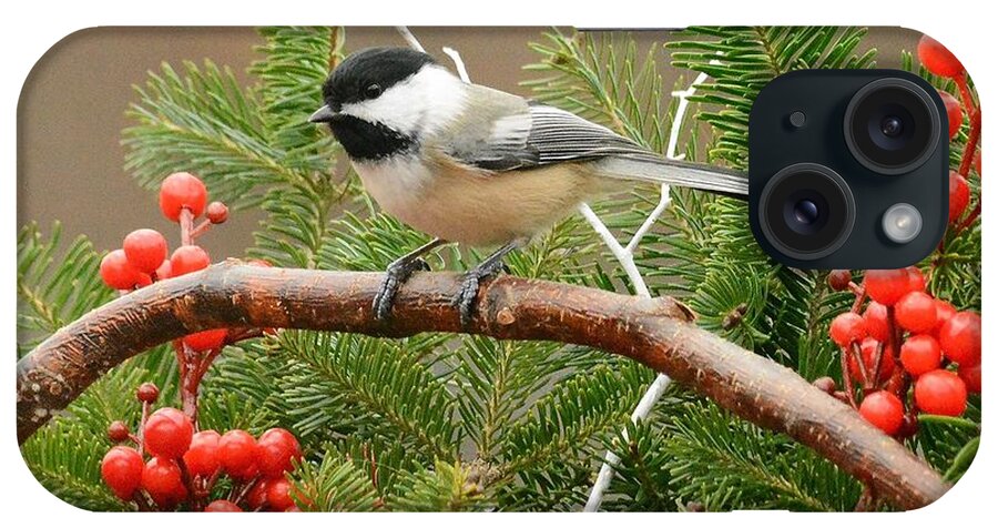 Christmas iPhone Case featuring the photograph Chickadee on Holiday Basket by Judy Genovese