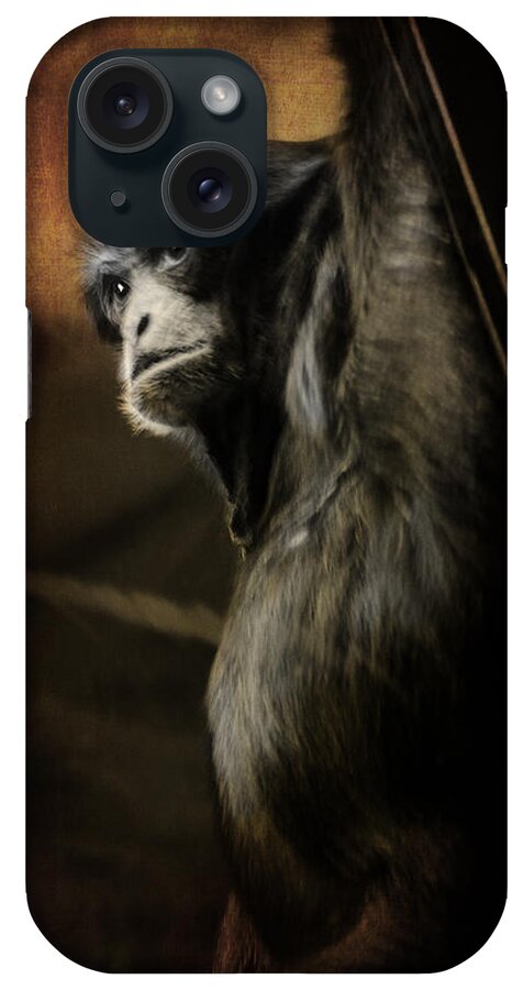 Chimp iPhone Case featuring the photograph Chimp 1 by Susan McMenamin