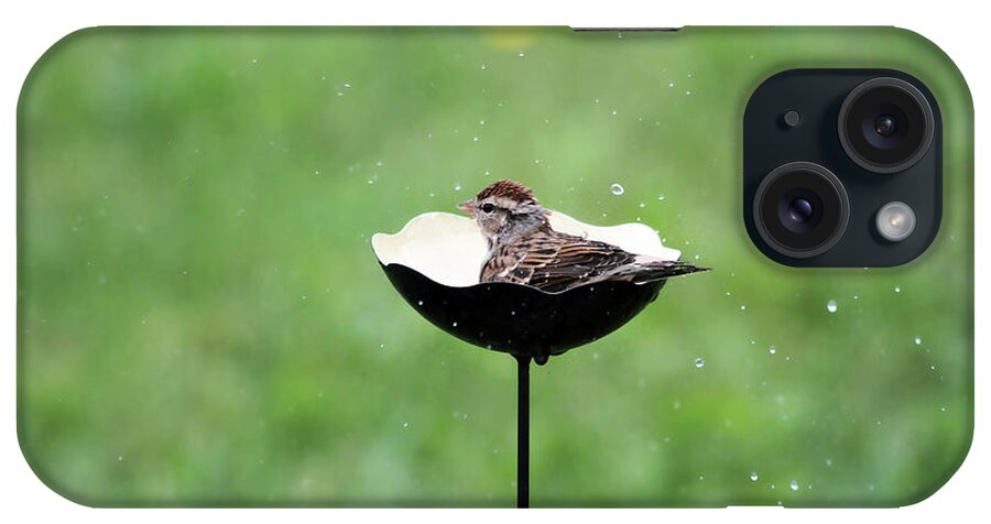 Chipping Sparrow iPhone Case featuring the photograph Chipping Sparrow Bath by Jackson Pearson