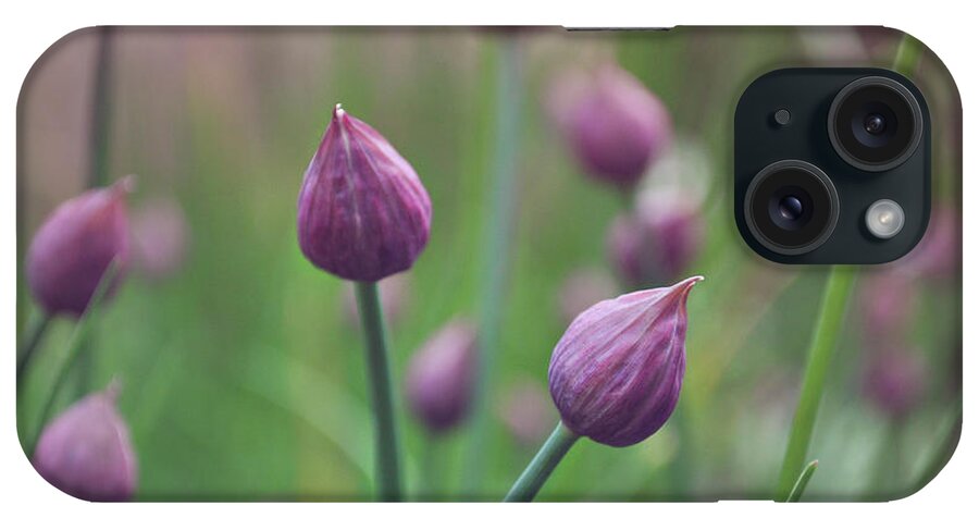Chives iPhone Case featuring the photograph Chives by Lyn Randle