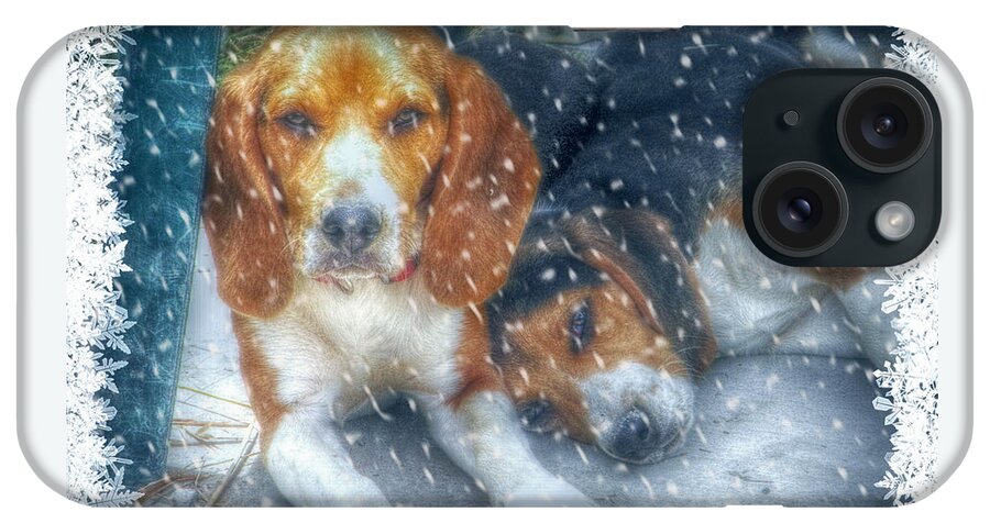 Beagles iPhone Case featuring the photograph Christmas Brothers by Amanda Eberly