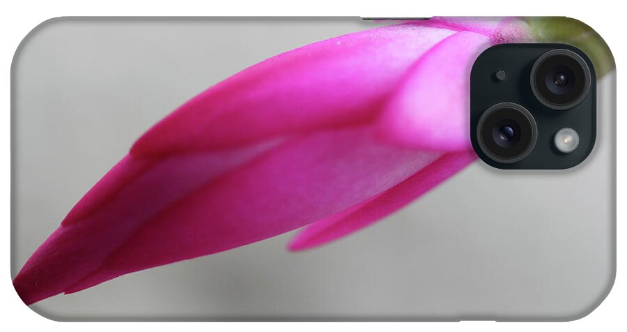 Cactus iPhone Case featuring the photograph Christmas Cactus Bud by Mary Bedy