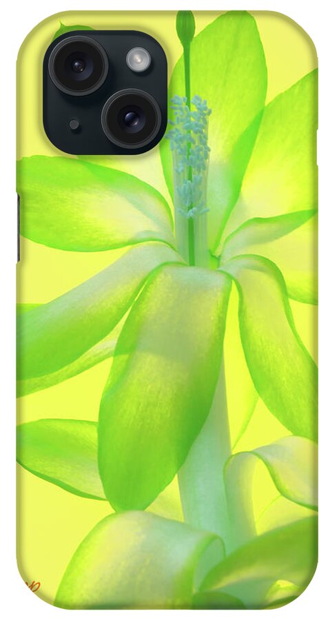 Christmas Cactus iPhone Case featuring the photograph Christmas Cactus V5 by Janet DeLapp