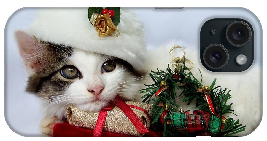 Christmas iPhone Case featuring the photograph Christmas Kitten by Jai Johnson