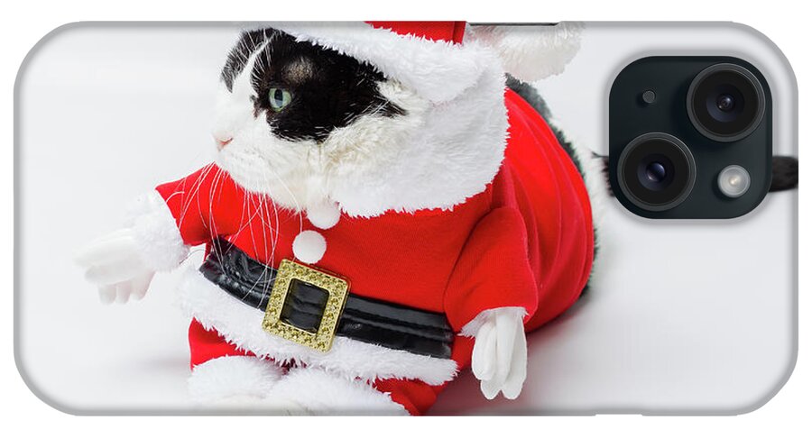 Cat iPhone Case featuring the photograph Christmas Santa Cat by Benny Marty