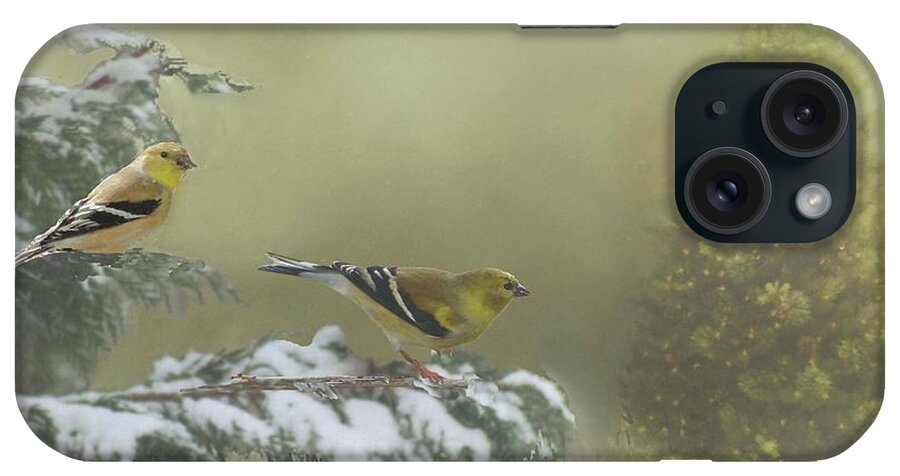 Goldfinches iPhone Case featuring the photograph Christmas with the Goldfinches by Janette Boyd