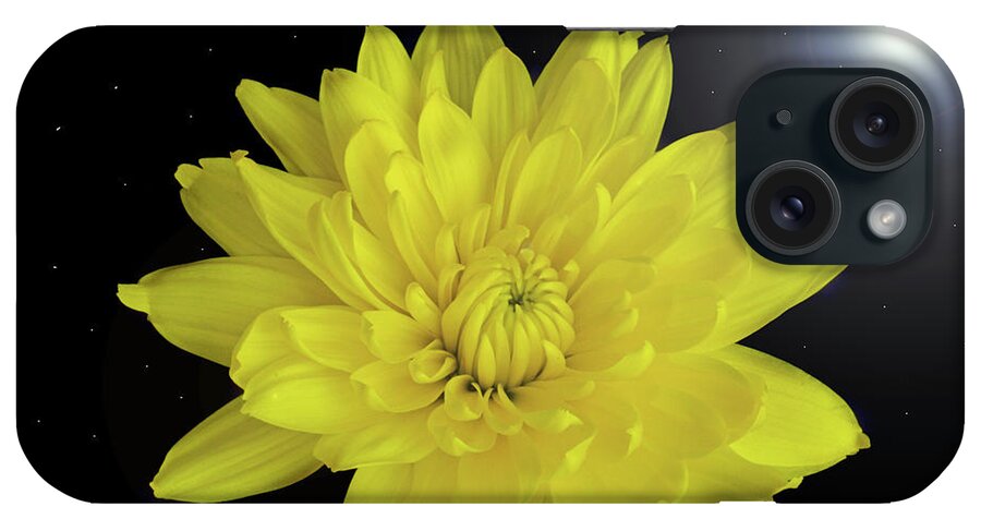 Chrysanthemum iPhone Case featuring the photograph Chrysanthemum Star by Terence Davis