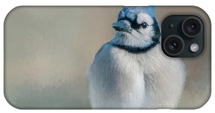 Blue Jay iPhone Case featuring the photograph Chubby Jay by Cathy Kovarik
