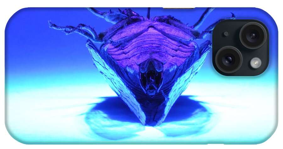 Cicada iPhone Case featuring the photograph Cicada In UV by Mark Fuller