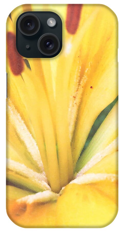 Blossom iPhone Case featuring the photograph Citrine Blossom by Sand And Chi