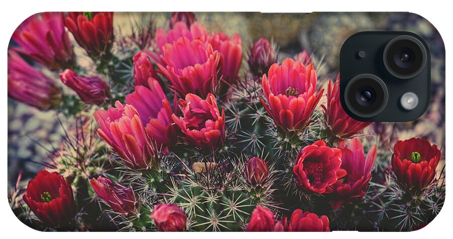 Cactus iPhone Case featuring the photograph Claret Cup Blooms by Lucinda Walter
