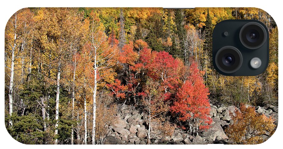 Fall Colors iPhone Case featuring the photograph Clash of Fall Colors by Tony Hake