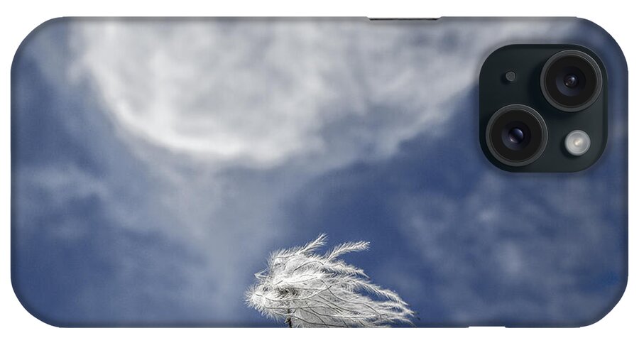 Blue iPhone Case featuring the photograph Clematis and Clouds by Steven Schwartzman