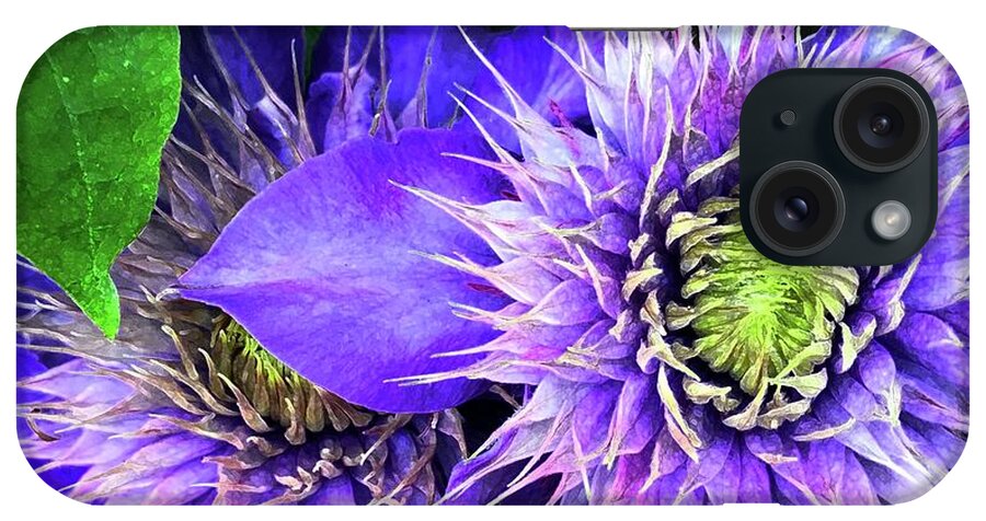 Clematis iPhone Case featuring the photograph Clematis Multi Blue by Barbie Corbett-Newmin