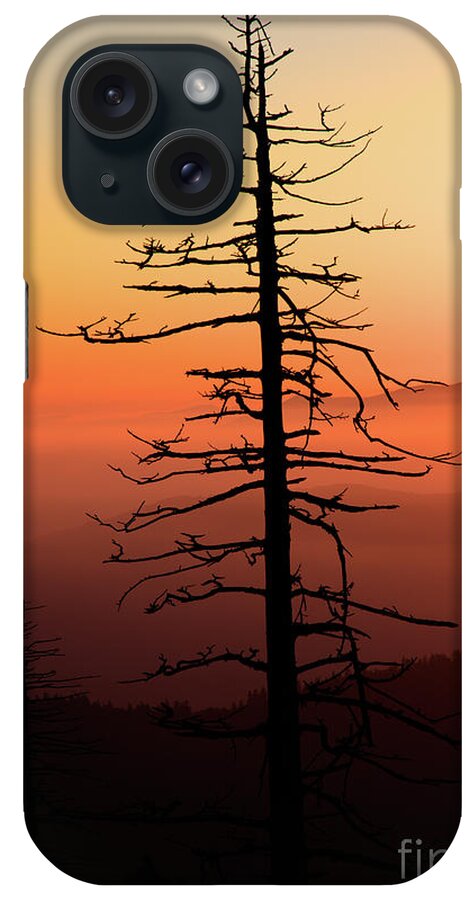 Tree iPhone Case featuring the photograph Clingman's Dome Sunrise by Douglas Stucky