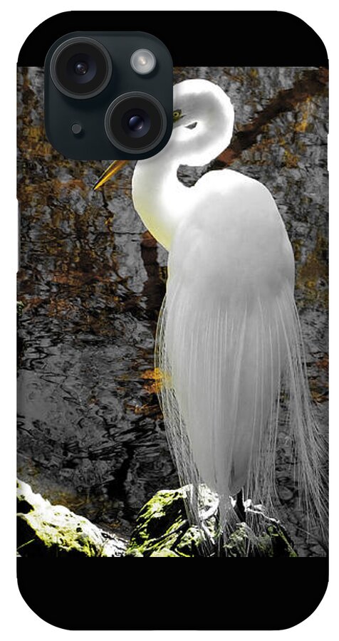 Great Egret iPhone Case featuring the photograph Cloaked by Judy Wanamaker