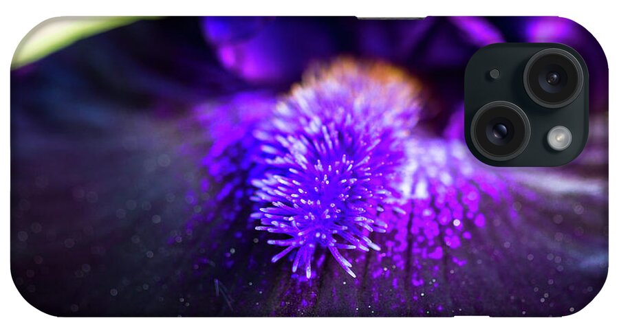 Bearded iPhone Case featuring the photograph Close Up of Dark Purple Bearded Iris by Teri Virbickis