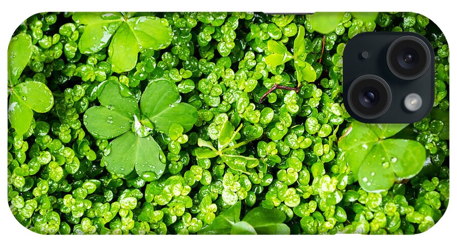 Lush Vegetation iPhone Case featuring the photograph Lush Green Soothing Organic Sense by John Williams