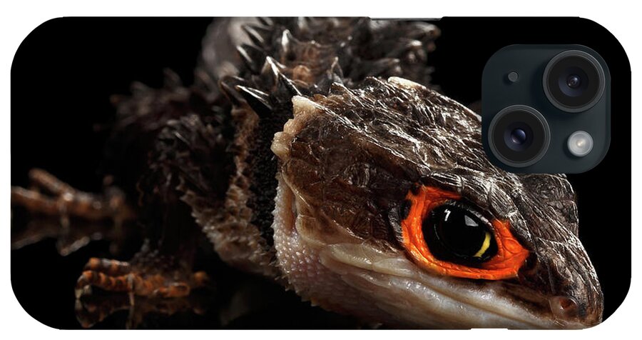 Crocodile iPhone Case featuring the photograph Closeup Red-eyed crocodile skink, tribolonotus gracilis by Sergey Taran