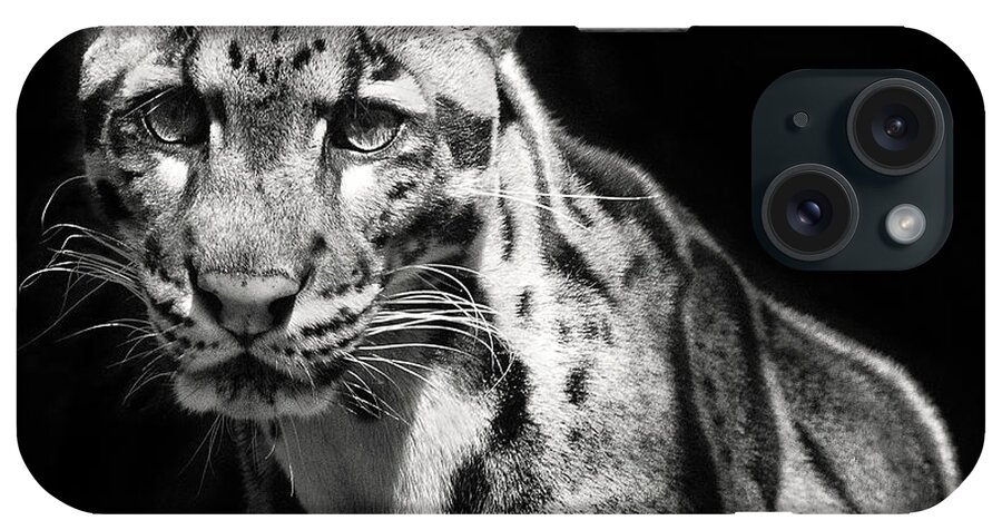 Leopard iPhone Case featuring the photograph Clouded Leopard by Art Cole