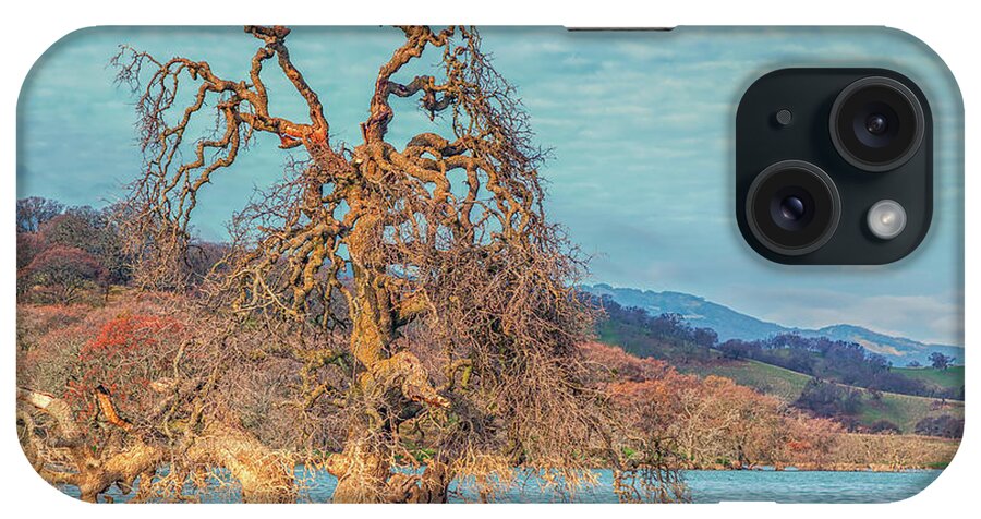 Landscape iPhone Case featuring the photograph Clouds Above Flooded Tree by Marc Crumpler