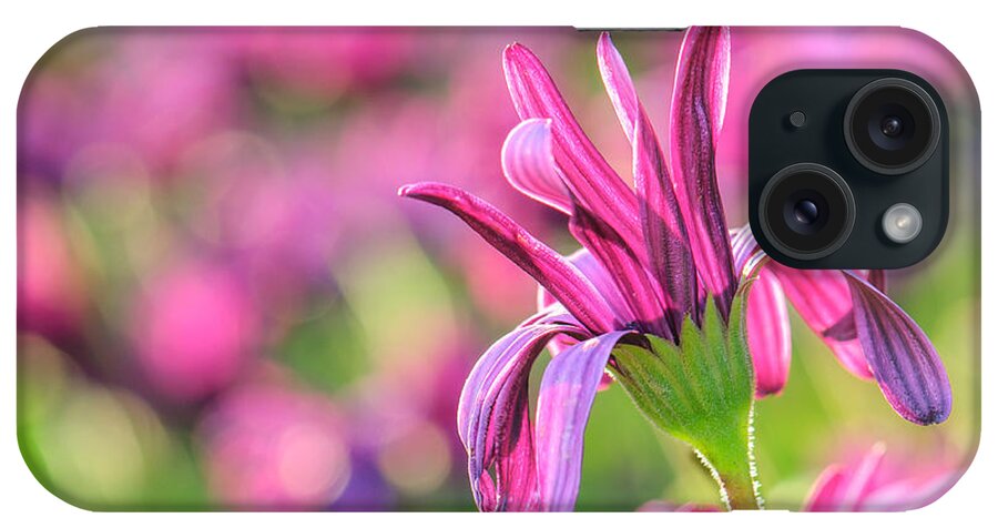 Flowers iPhone Case featuring the photograph Clouds of Magenta by Shuwen Wu