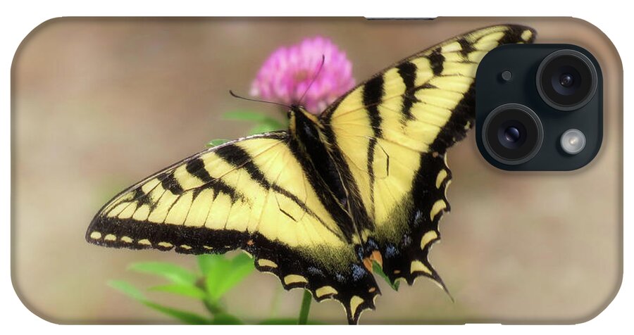 Swallowtail Butterfly iPhone Case featuring the photograph Clover and Swallowtail - Butterfly by MTBobbins Photography